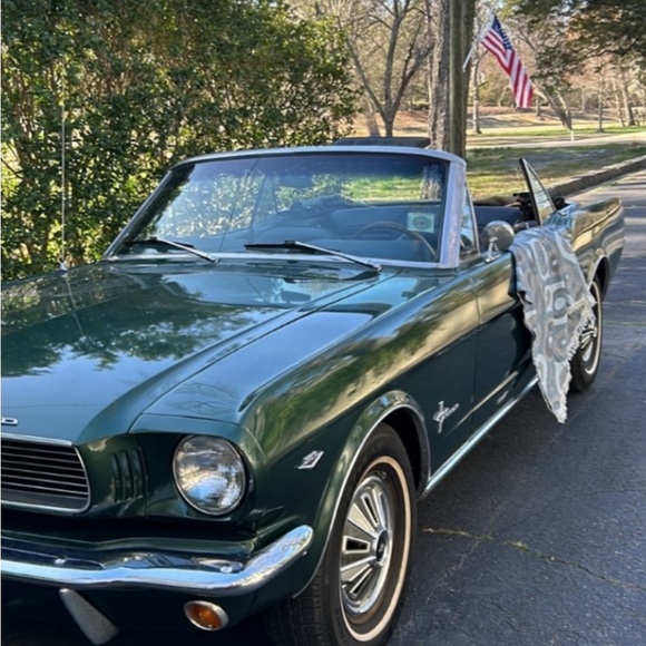 Meet your Posher, Tara - Picture 13 of 17